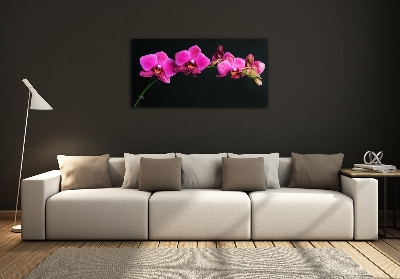 Wall art on glass Orchid