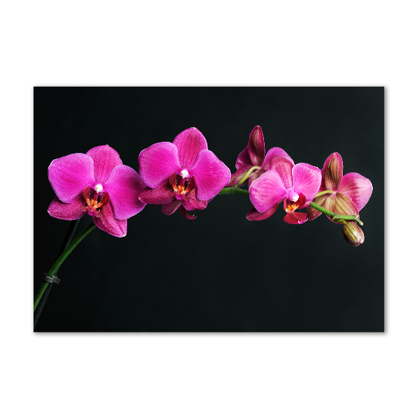 Wall art on glass Orchid