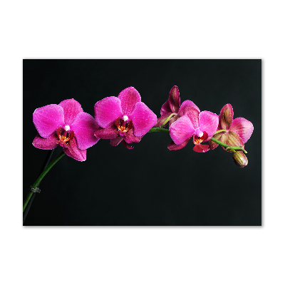 Wall art on glass Orchid