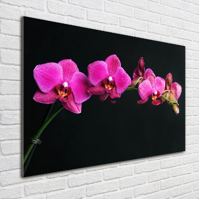 Wall art on glass Orchid