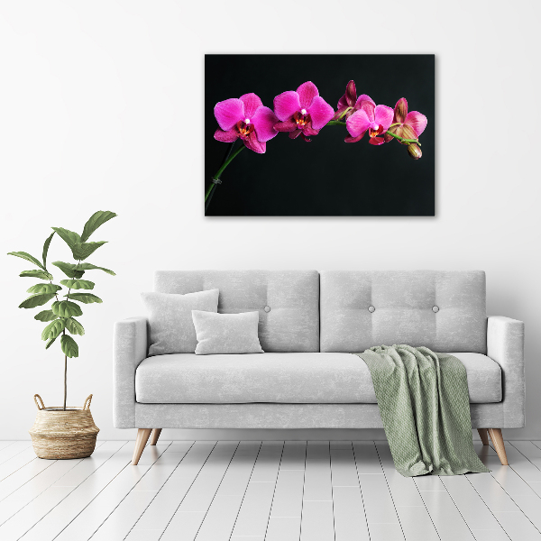 Wall art on glass Orchid