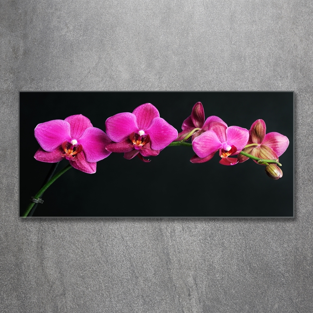 Wall art on glass Orchid