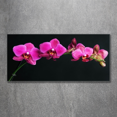 Wall art on glass Orchid