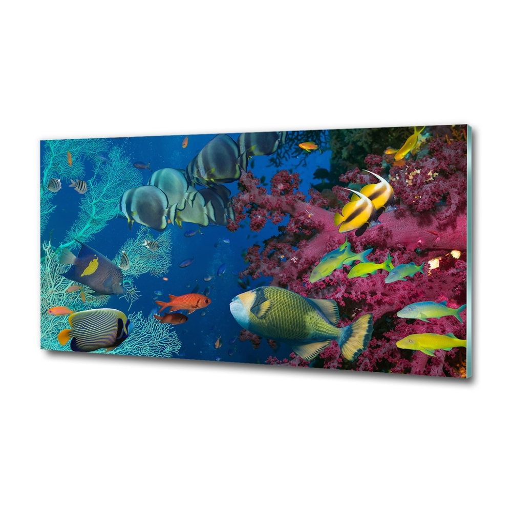 Printed glass wall art Coral reef