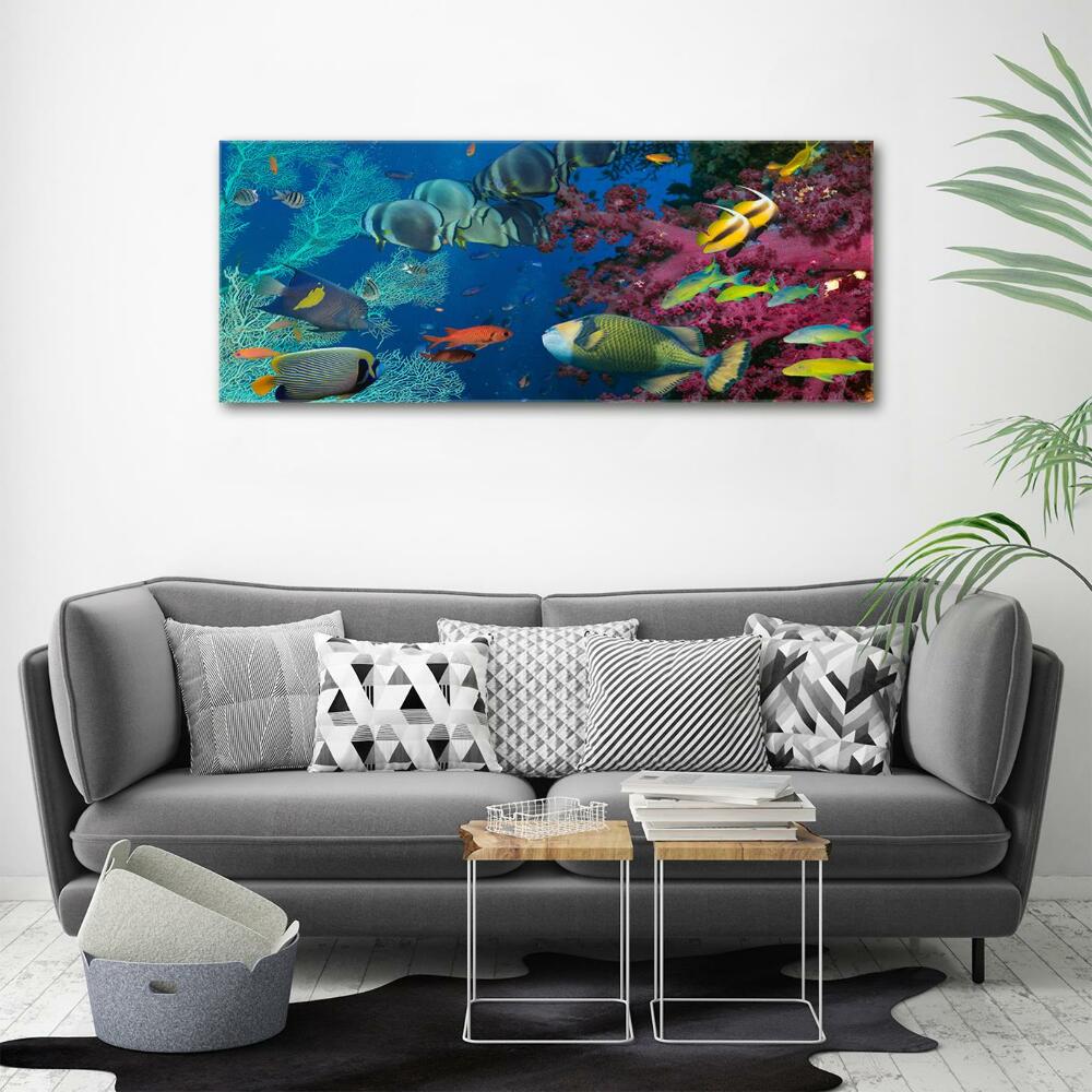 Printed glass wall art Coral reef