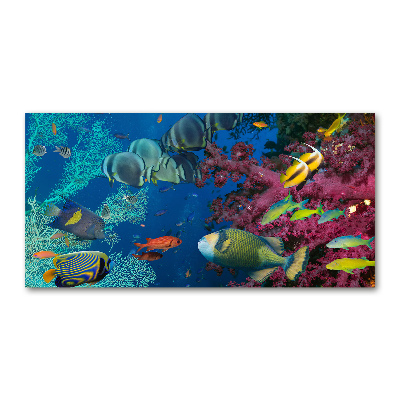 Printed glass wall art Coral reef