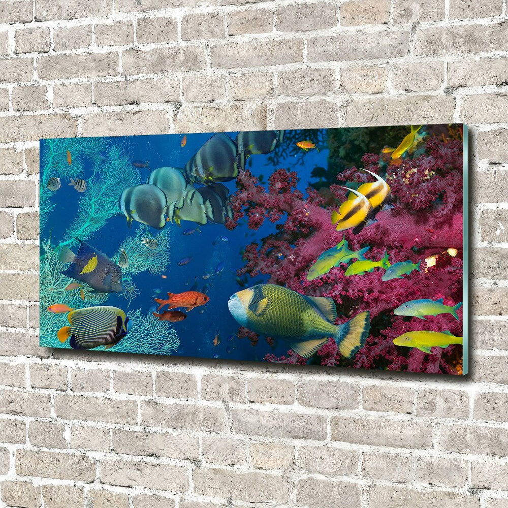 Printed glass wall art Coral reef