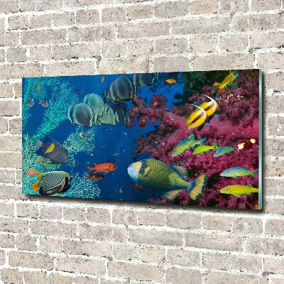 Printed glass wall art Coral reef