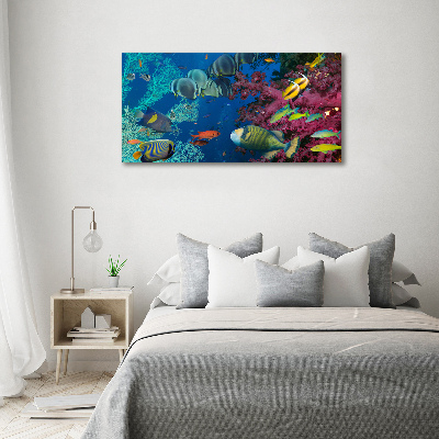 Printed glass wall art Coral reef