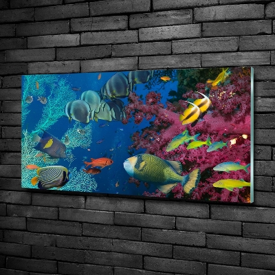 Printed glass wall art Coral reef