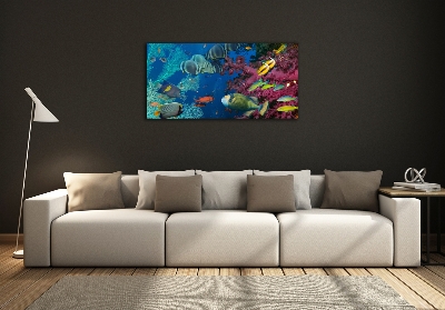 Printed glass wall art Coral reef