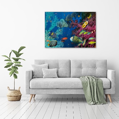 Printed glass wall art Coral reef