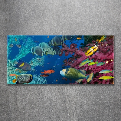 Printed glass wall art Coral reef