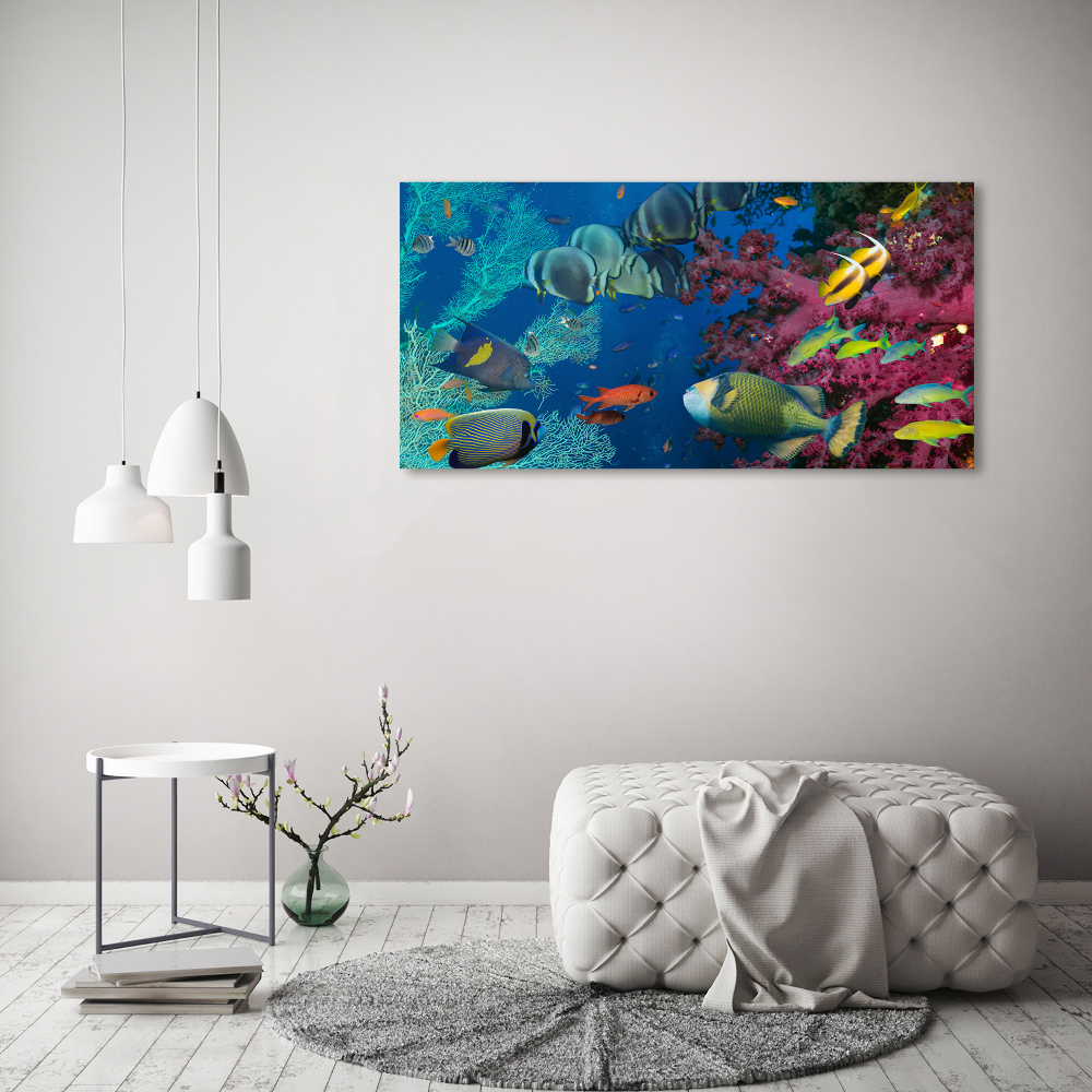 Printed glass wall art Coral reef