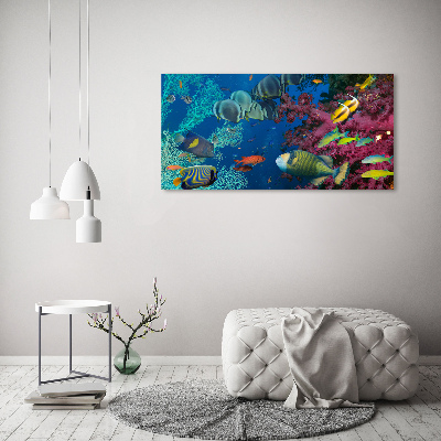 Printed glass wall art Coral reef