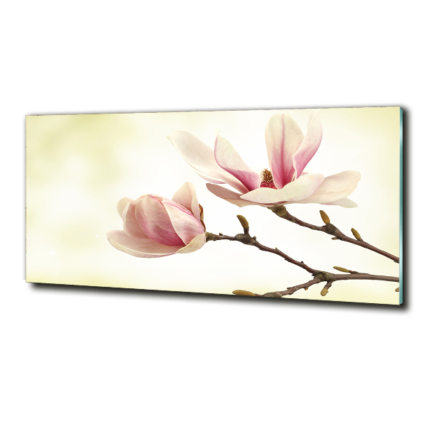 Wall art on glass Magnolia