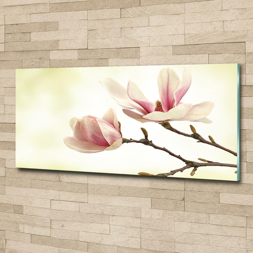 Wall art on glass Magnolia