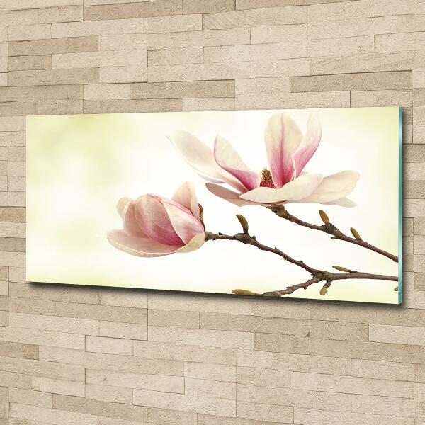 Wall art on glass Magnolia