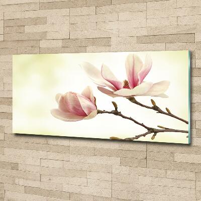 Wall art on glass Magnolia