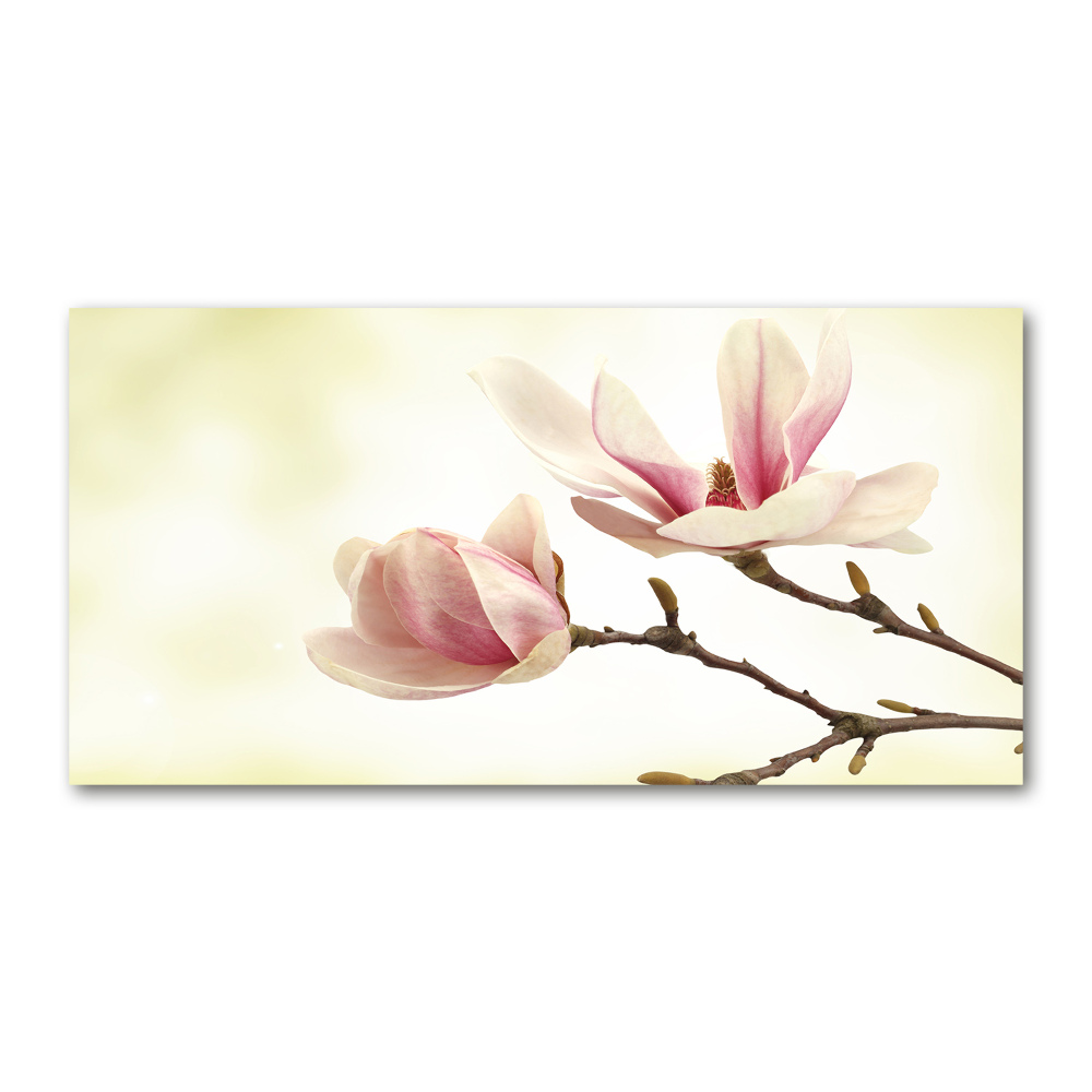 Wall art on glass Magnolia