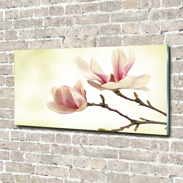 Wall art on glass Magnolia