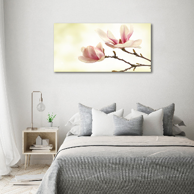 Wall art on glass Magnolia