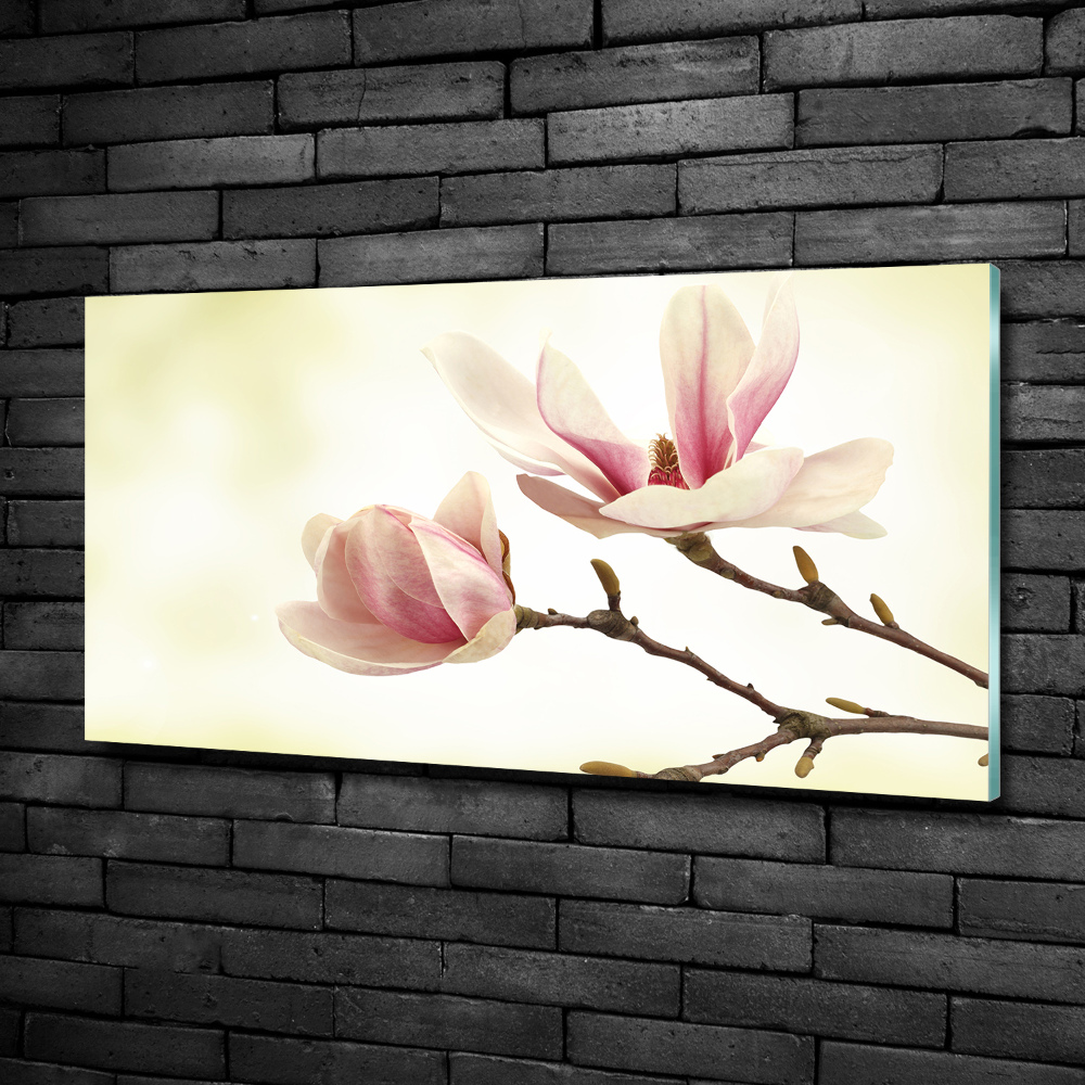 Wall art on glass Magnolia