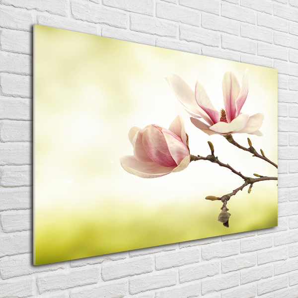 Wall art on glass Magnolia