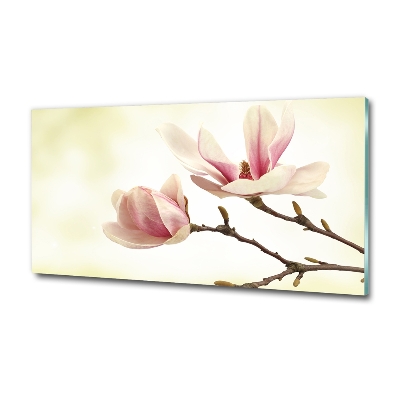 Wall art on glass Magnolia