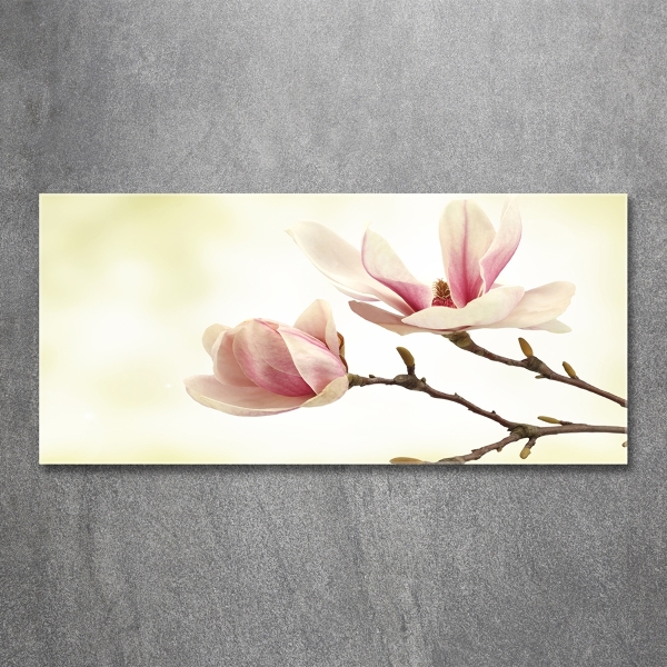 Wall art on glass Magnolia