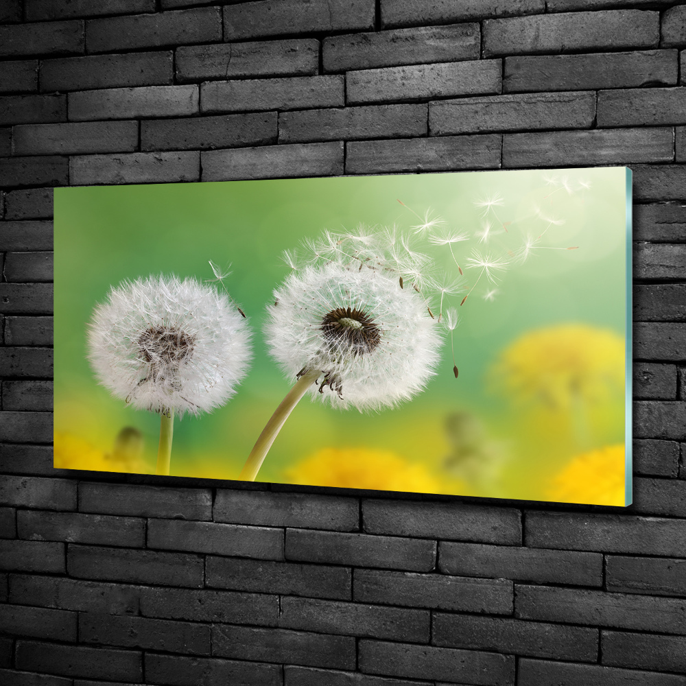 Glass art print Dandelions