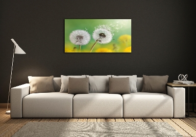 Glass art print Dandelions