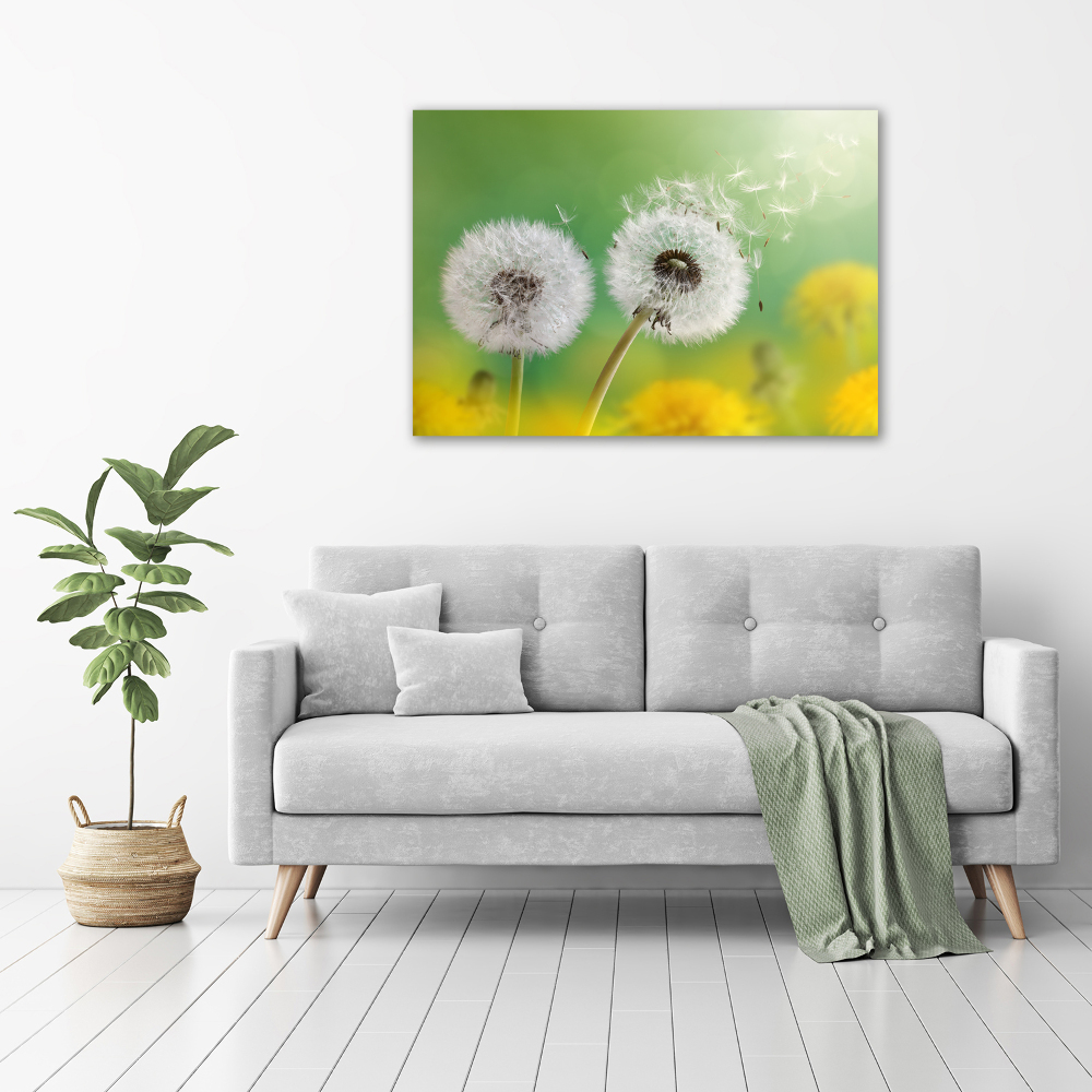 Glass art print Dandelions