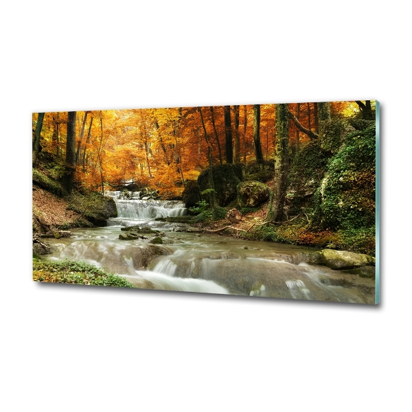 Glass art print Waterfall in the forest