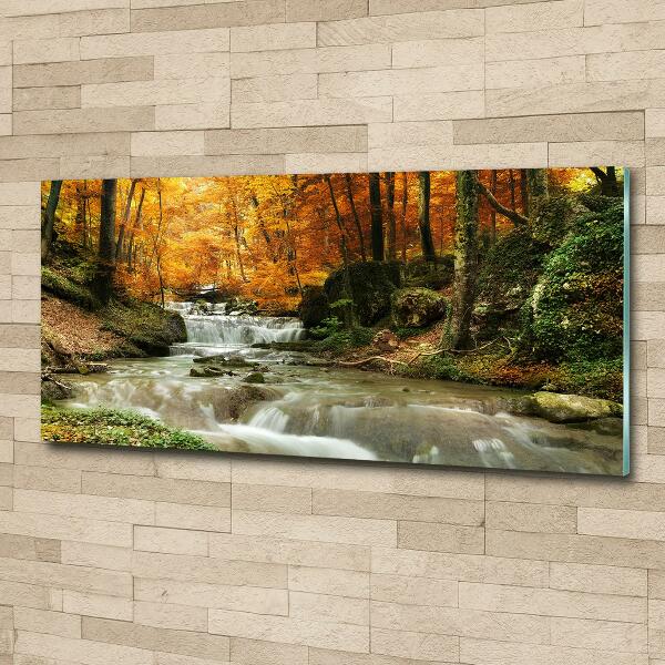 Glass art print Waterfall in the forest