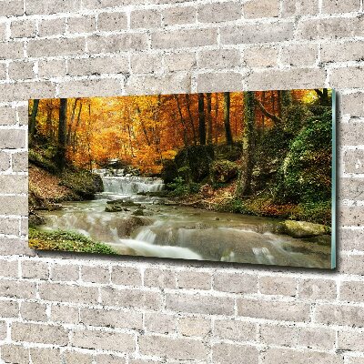 Glass art print Waterfall in the forest