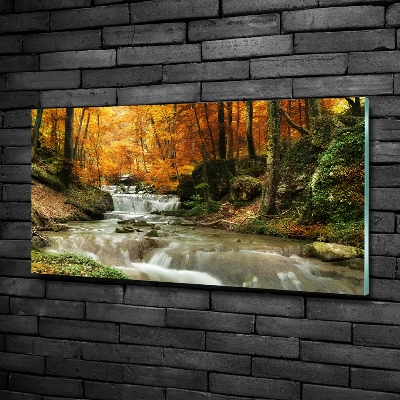 Glass art print Waterfall in the forest