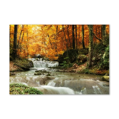 Glass art print Waterfall in the forest