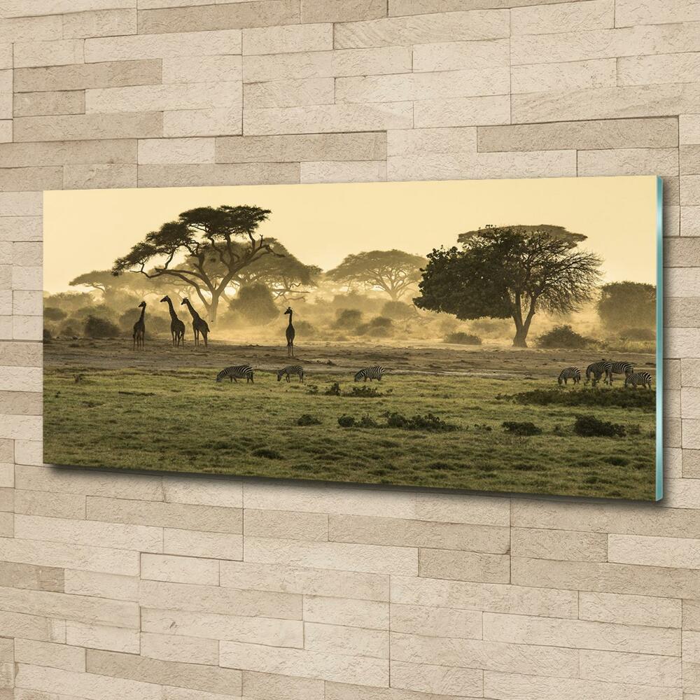 Glass art print Giraffes in the savanna