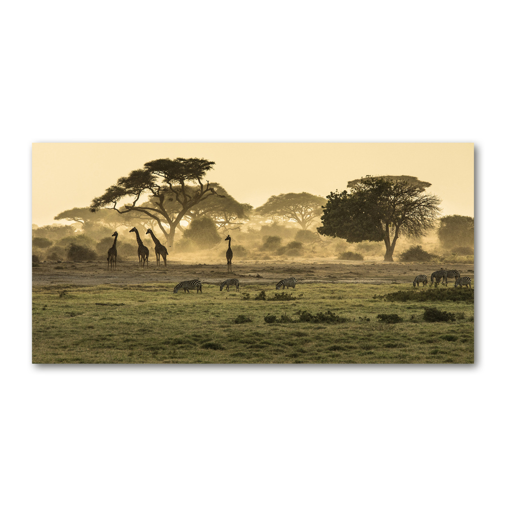 Glass art print Giraffes in the savanna