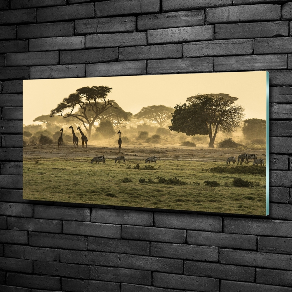 Glass art print Giraffes in the savanna