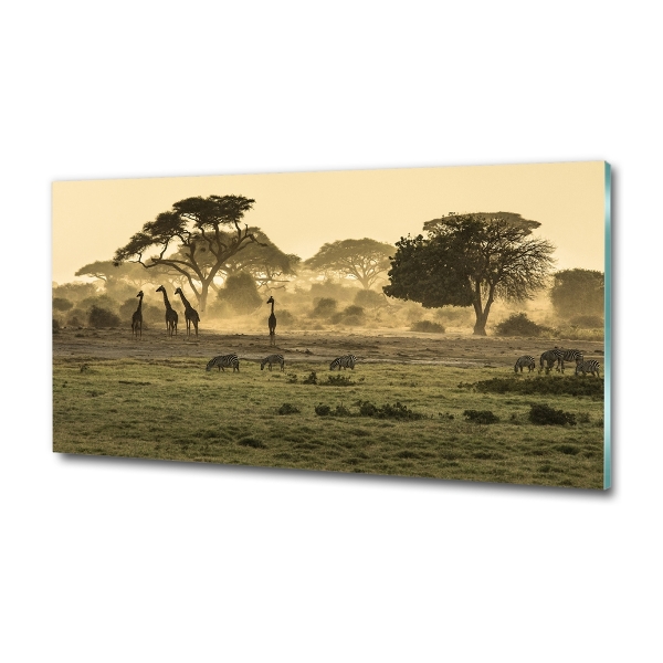 Glass art print Giraffes in the savanna