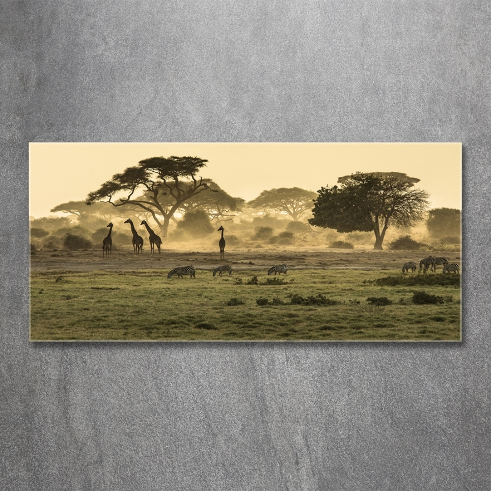 Glass art print Giraffes in the savanna