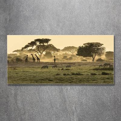 Glass art print Giraffes in the savanna