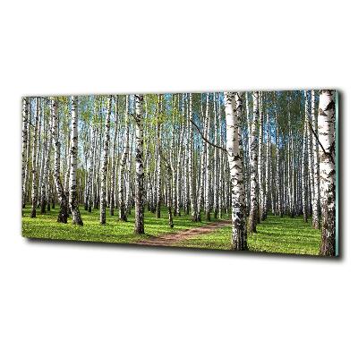 Wall art on glass Birch forest