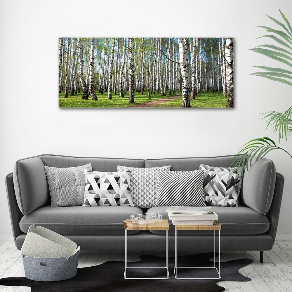 Wall art on glass Birch forest