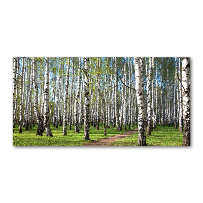 Wall art on glass Birch forest