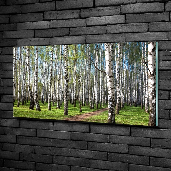 Wall art on glass Birch forest