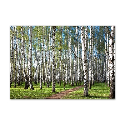 Wall art on glass Birch forest