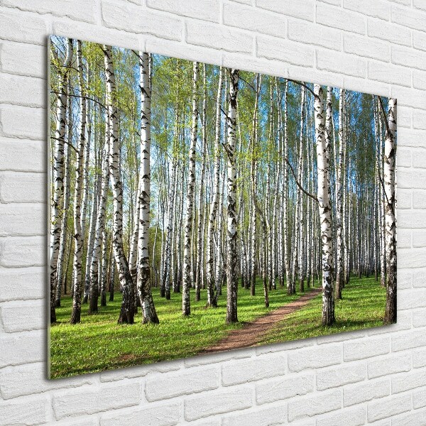 Wall art on glass Birch forest